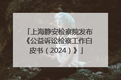 上海静安检察院发布《公益诉讼检察工作白皮书（2024）》