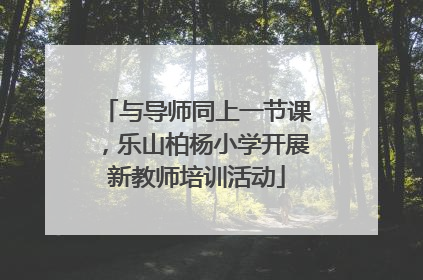 与导师同上一节课，乐山柏杨小学开展新教师培训活动