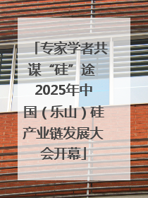 专家学者共谋“硅”途 2025年中国（乐山）硅产业链发展大会开幕