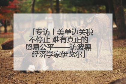 专访丨美单边关税不停止 难有真正的贸易公平——访波黑经济学家伊戈尔