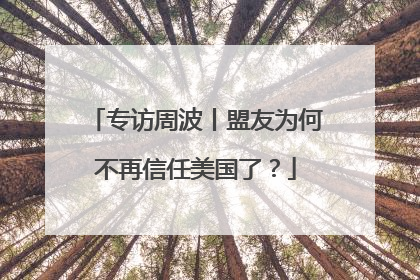 专访周波丨盟友为何不再信任美国了？