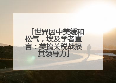 世界因中美缓和松气，埃及学者直言：美搞关税战损其领导力