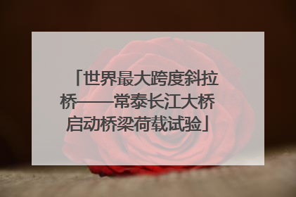 世界最大跨度斜拉桥——常泰长江大桥启动桥梁荷载试验