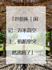 世俱杯｜闲记：万米高空上，机舱里突然沸腾了