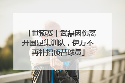 世预赛｜武磊因伤离开国足集训队，伊万不再补招顶替球员