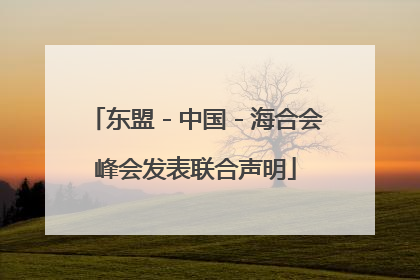 东盟－中国－海合会峰会发表联合声明