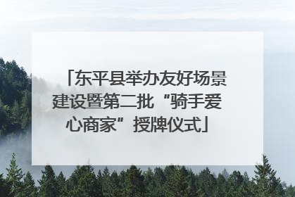 东平县举办友好场景建设暨第二批“骑手爱心商家”授牌仪式