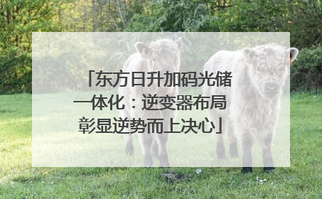 东方日升加码光储一体化：逆变器布局彰显逆势而上决心