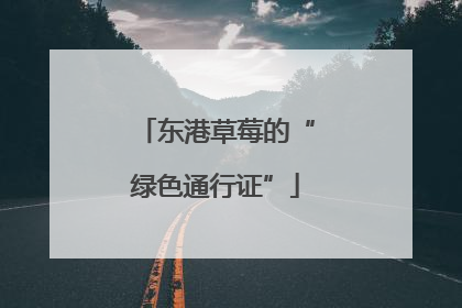 东港草莓的“绿色通行证”