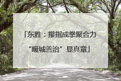 东胜：攥指成拳聚合力 “暖城善治”显真章