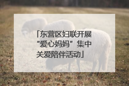东营区妇联开展“爱心妈妈”集中关爱陪伴活动
