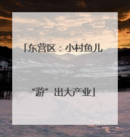 东营区：小村鱼儿“游”出大产业