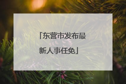 东营市发布最新人事任免