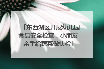 东西湖区开展幼儿园食品安全检查，小朋友亲手给蔬菜做快检