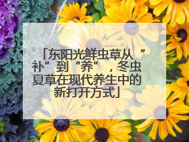东阳光鲜虫草从“补”到“养”，冬虫夏草在现代养生中的新打开方式