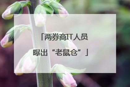 两券商IT人员曝出“老鼠仓”