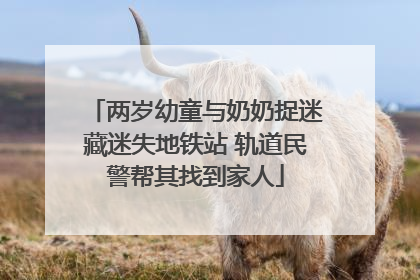 两岁幼童与奶奶捉迷藏迷失地铁站 轨道民警帮其找到家人