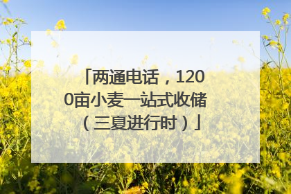 两通电话，1200亩小麦一站式收储（三夏进行时）