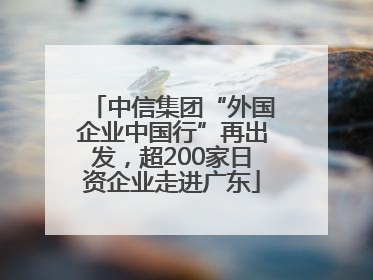中信集团“外国企业中国行”再出发，超200家日资企业走进广东