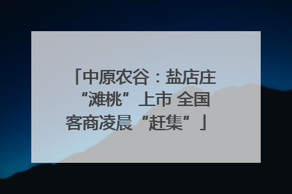 中原农谷：盐店庄“滩桃”上市 全国客商凌晨“赶集”