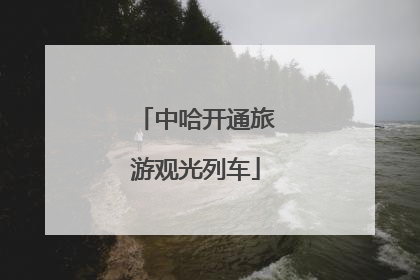 中哈开通旅游观光列车