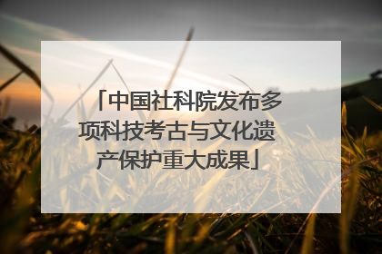 中国社科院发布多项科技考古与文化遗产保护重大成果