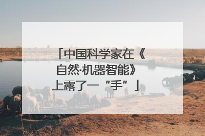 中国科学家在《自然·机器智能》上露了一“手”
