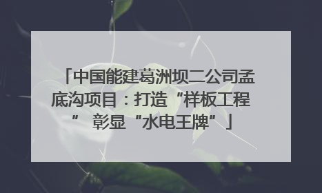 中国能建葛洲坝二公司孟底沟项目：打造“样板工程” 彰显“水电王牌”