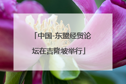 中国-东盟经贸论坛在吉隆坡举行