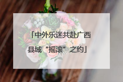 中外乐迷共赴广西县域“摇滚”之约