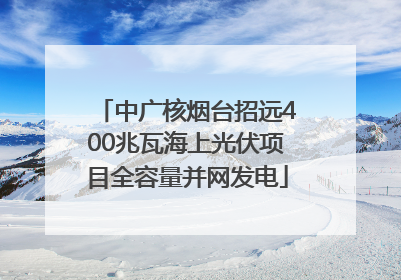 中广核烟台招远400兆瓦海上光伏项目全容量并网发电