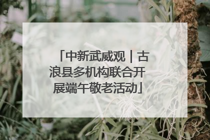 中新武威观｜古浪县多机构联合开展端午敬老活动