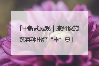 中新武威观｜凉州设施蔬菜种出好“丰”景