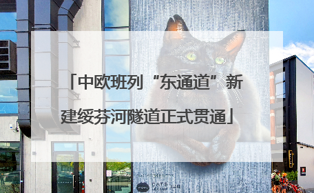 中欧班列“东通道”新建绥芬河隧道正式贯通