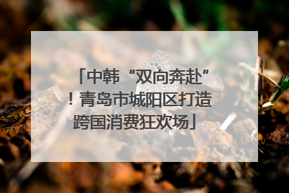 中韩“双向奔赴”！青岛市城阳区打造跨国消费狂欢场