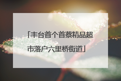 丰台首个首蔡精品超市落户六里桥街道