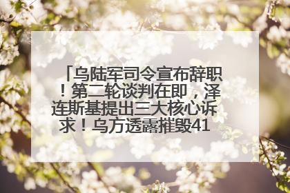 乌陆军司令宣布辞职！第二轮谈判在即，泽连斯基提出三大核心诉求！乌方透露摧毁41架俄战略轰炸机