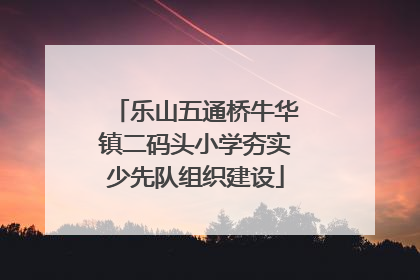乐山五通桥牛华镇二码头小学夯实少先队组织建设