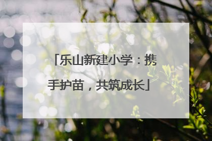 乐山新建小学：携手护苗，共筑成长