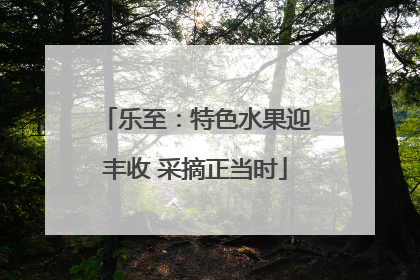 乐至：特色水果迎丰收 采摘正当时