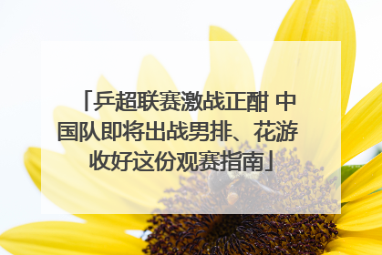 乒超联赛激战正酣 中国队即将出战男排、花游 收好这份观赛指南
