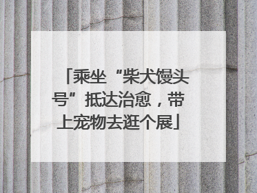 乘坐“柴犬馒头号”抵达治愈，带上宠物去逛个展
