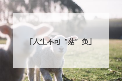 人生不可“菇”负