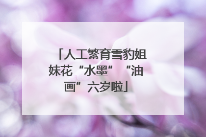 人工繁育雪豹姐妹花“水墨”“油画”六岁啦