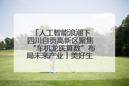 人工智能浪潮下 四川自贡高新区聚焦“车机龙医算数”布局未来产业丨美好生活有“盐”味
