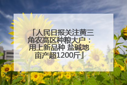人民日报关注黄三角农高区种粮大户：用上新品种 盐碱地亩产超1200斤