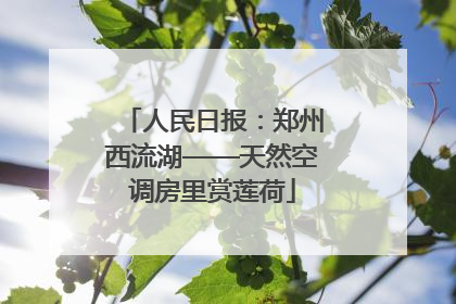 人民日报：郑州西流湖——天然空调房里赏莲荷