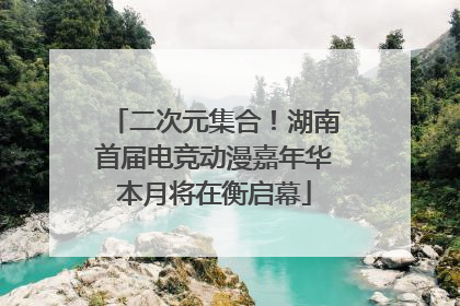 二次元集合！湖南首届电竞动漫嘉年华本月将在衡启幕