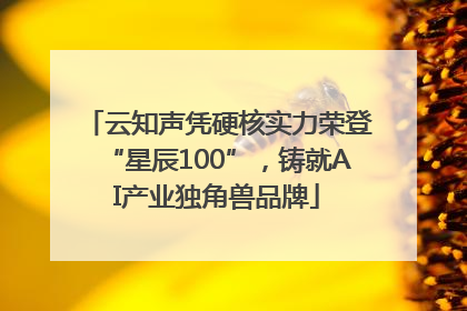 云知声凭硬核实力荣登“星辰100”，铸就AI产业独角兽品牌