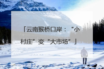 云南猴桥口岸：“小村庄”变“大市场”